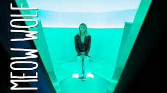 Post 4 by Lisa K. on YouTube (video)
