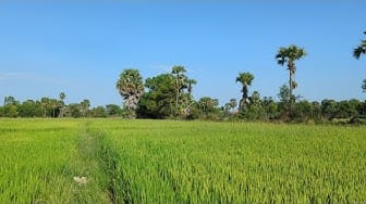 Post 7 by Khmer Lifestyles on YouTube (video)