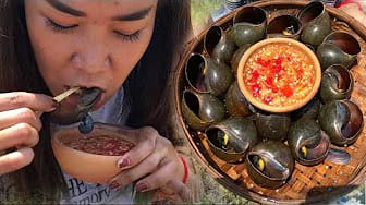 Post 7 by MEY AMSR on YouTube (video)