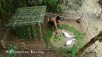 Post 1 by Village Life on YouTube (video)