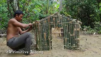 Post 2 by Village Life on YouTube (video)