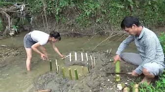 Post 10 by Wild Fishing KT on YouTube (video)