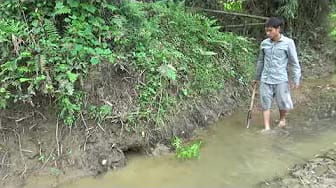 Post 3 by Wild Fishing KT on YouTube (video)