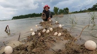 Post 6 by Lady Fishing on YouTube (video)
