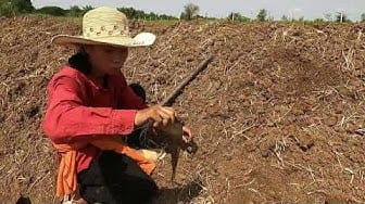 Post 1 by Lady Fishing on YouTube (video)