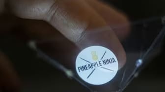 Post 9 by Pineapple Ninja on YouTube (video)
