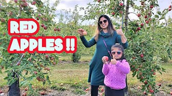 Post 6 by Mili - Dil Se Boli on YouTube (video)