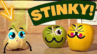 Post 5 by Doodle Time on YouTube (video)