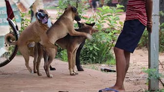 Post 1 by TV Vlogs on YouTube (video)