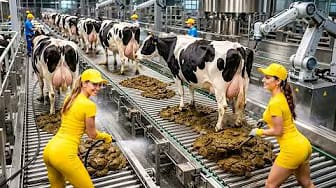 Post 3 by The Natural Factory on YouTube (video)
