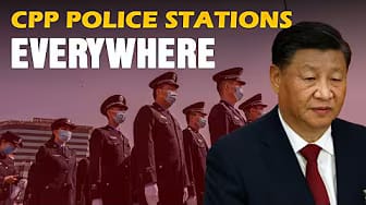 Post 10 by Mr Lee on YouTube (video)