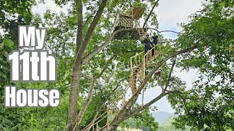 Post 7 by Wild Green House on YouTube (video)