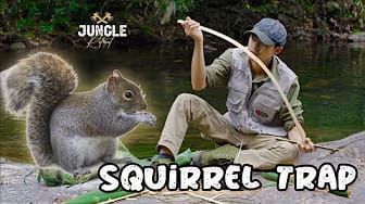 Post 5 by Jungle Retreat on YouTube (video)