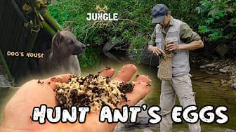 Post 3 by Jungle Retreat on YouTube (video)