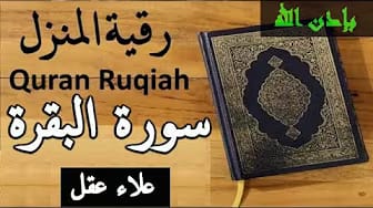 Post 9 by mountain's Kitchen مطبخ الطبيعة on YouTube (video)
