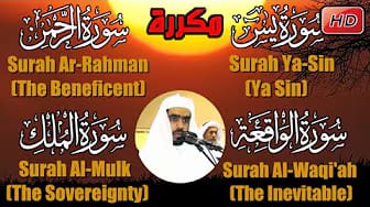 Post 4 by mountain's Kitchen مطبخ الطبيعة on YouTube (video)