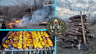 Post 3 by Lost In Nature on YouTube (video)