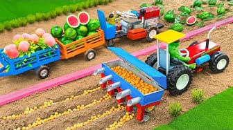 Post 2 by DIY Miniature Farming on YouTube (video)