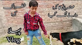 Post 1 by TBP ZAIN on YouTube (video)