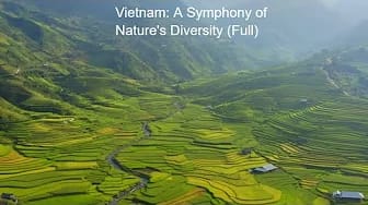 Post 8 by A Taste of Vietnam on YouTube (video)