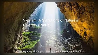 Post 2 by A Taste of Vietnam on YouTube (video)