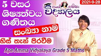 Post 8 by Apé Amma Vidyalaya on YouTube (video)