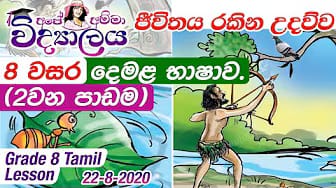 Post 3 by Apé Amma Vidyalaya on YouTube (video)