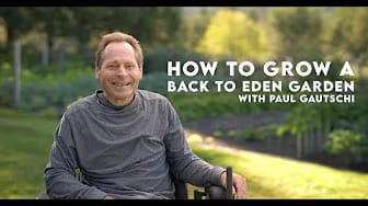 Post 10 by Back to Eden Gardening on YouTube (video)
