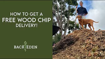 Post 2 by Back to Eden Gardening on YouTube (video)