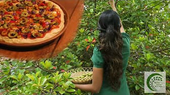 Post 5 by home garden recipes on YouTube (video)