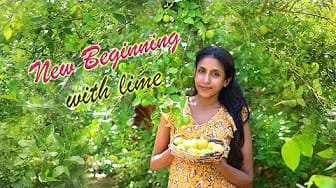 Post 1 by home garden recipes on YouTube (video)