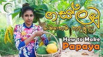 Post 3 by home garden recipes on YouTube (video)