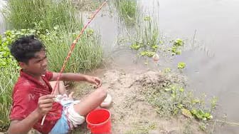 Post 4 by BIG FISH CUTTING MARKET on YouTube (video)