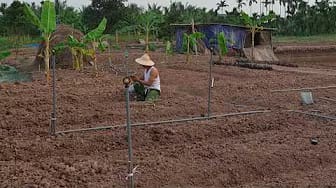 Post 5 by Triệu Cường on YouTube (video)