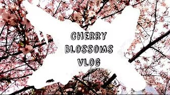 Post 3 by Mimi T on YouTube (video)
