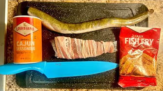 Post 3 by Man vs Fish on YouTube (video)
