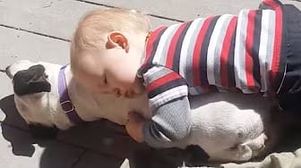 Post 3 by Curious Cuties on YouTube (video)