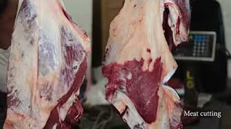 Post 1 by Meat Cutting on YouTube (video)