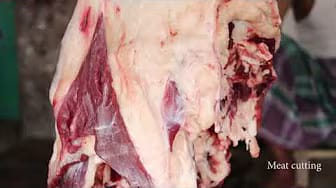 Post 2 by Meat Cutting on YouTube (video)