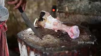 Post 6 by Meat Cutting on YouTube (video)