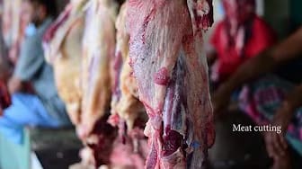Post 5 by Meat Cutting on YouTube (video)