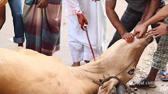 Post 4 by Meat Cutting on YouTube (video)