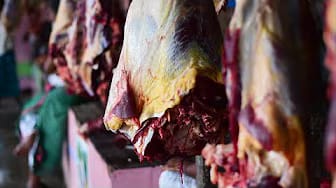 Post 3 by Meat Cutting on YouTube (video)