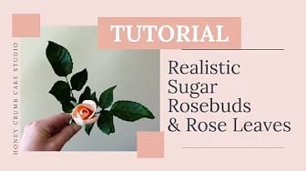 Post 2 by Honey Crumb on YouTube (video)