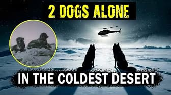 Post 1 by TinyTails on YouTube (video)