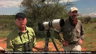 Post 6 by Nature's Best Photography on YouTube (video)