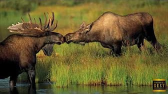 Post 4 by Nature's Best Photography on YouTube (video)
