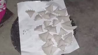 Post 9 by MJ vlog with Jannat on YouTube (video)