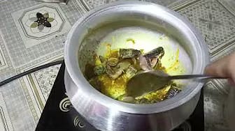 Post 6 by MJ vlog with Jannat on YouTube (video)