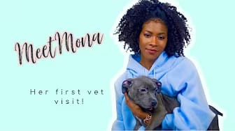 Post 10 by Raven Necole on YouTube (video)